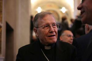 Cardinal Walter Kasper, president emeritus of the Pontifical Council for Promoting Christian Unity, at the Vatican in April 2015. Cardinal Walter Kasper, president emeritus of the Pontifical Council for Promoting Christian Unity, at the Vatican in April 2015.