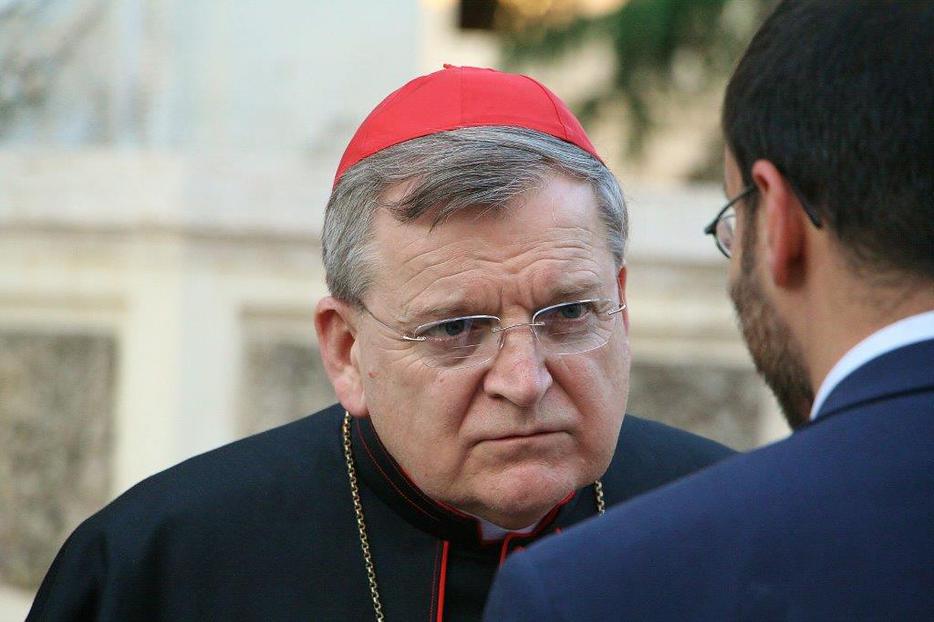 Cardinal Raymond Burke Cardinal Raymond Burke