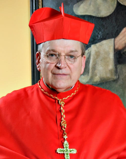 Cardinal Raymond Burke speaks to members of the Dignitatis Humanae Institute June 28 in Rome. Cardinal Raymond Burke speaks to members of the Dignitatis Humanae Institute June 28 in Rome.