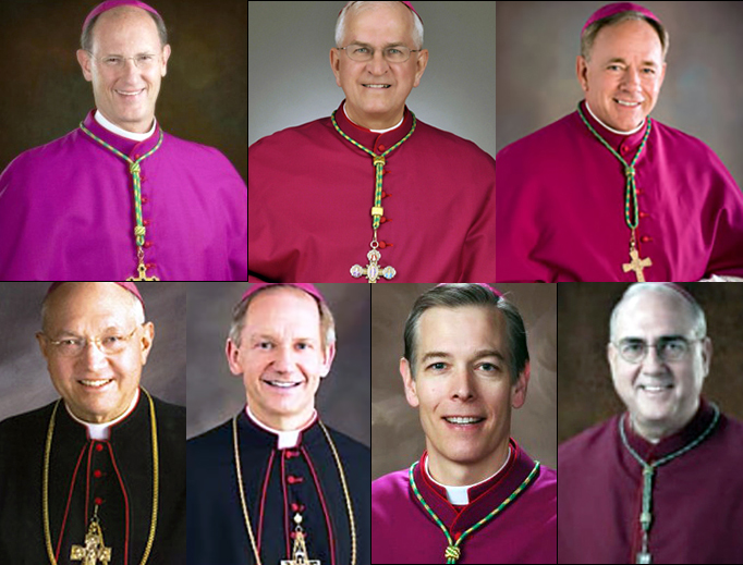 TOP, L TO R: Bishop James Conley, Archbishop Joseph Kurtz, Archbishop Michael Miller. BOTTOM, L TO R: Bishop Robert Morlino, Bishop Thomas Paprocki, Archbishop Alexander Sample, Archbishop Joseph Naumann. TOP, L TO R: Bishop James Conley, Archbishop Joseph Kurtz, Archbishop Michael Miller. BOTTOM, L TO R: Bishop Robert Morlino, Bishop Thomas Paprocki, Archbishop Alexander Sample, Archbishop Joseph Naumann.