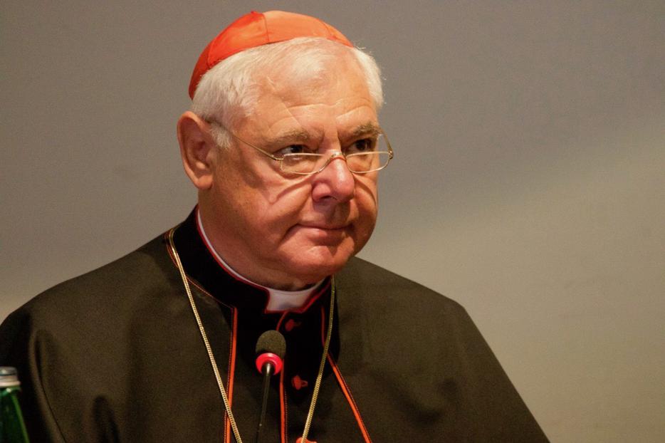 Cardinal Gerhard Müller. Cardinal Gerhard Müller.