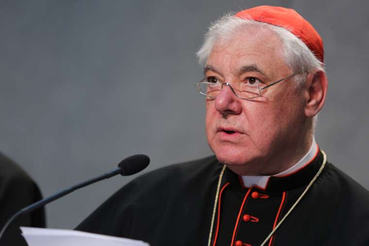 Cardinal Gerhard Müller, then-prefect of the Congregation for the Doctrine of the Faith, speaks at the Vatican June 14, 2016. Cardinal Gerhard Müller, then-prefect of the Congregation for the Doctrine of the Faith, speaks at the Vatican June 14, 2016.