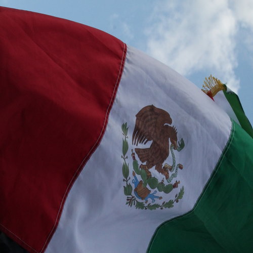 Flag of Mexico during the Angelus address in St. Peter's Square on the feast of the Baptism of Jesus, Jan. 10.
Flag of Mexico during the Angelus address in St. Peter's Square on the feast of the Baptism of Jesus, Jan. 10.