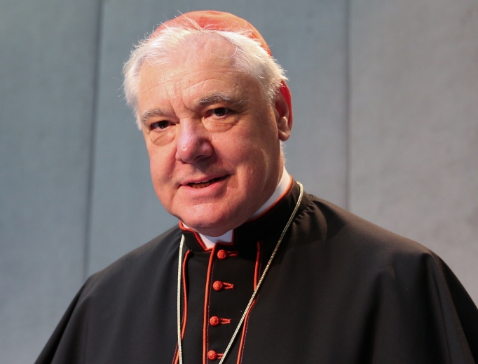 Cardinal Gerhard Ludwig Müller in 2016. Cardinal Gerhard Ludwig Müller in 2016.