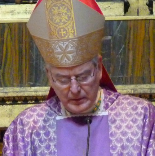 Archbishop John Nienstedt in 2012 Archbishop John Nienstedt in 2012