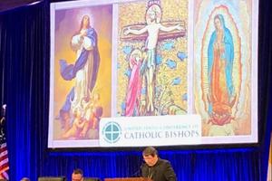 Archbishop Christophe Pierre addresses the U.S. bishops Nov. 12 in Baltimore. Archbishop Christophe Pierre addresses the U.S. bishops Nov. 12 in Baltimore.
