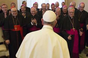 Pope Francis meets the German Bishops' Conference, 2019. Pope Francis meets the German Bishops' Conference, 2019.