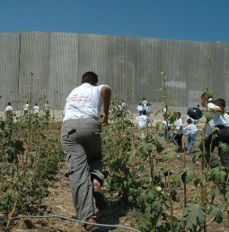 Palestinian children run towards a portion of the Israeli security wall in 2004. Palestinian children run towards a portion of the Israeli security wall in 2004.
