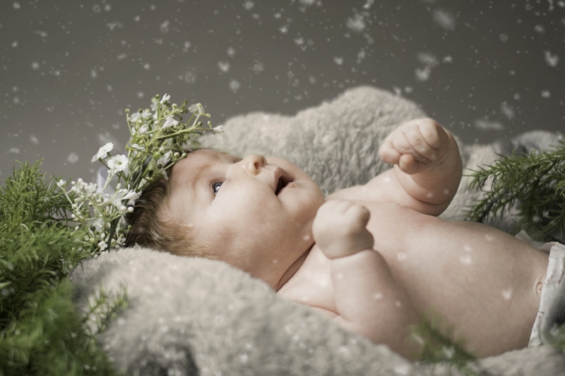Cute Baby Portrait Cute Baby Portrait