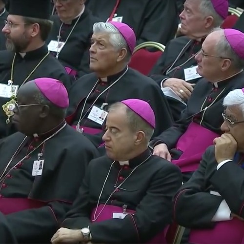 Bishops listen in the Vatican's Paul VI Hall as Pope Francis delivers his address outlining his vision of synodality on Oct. 17, 2015. Bishops listen in the Vatican's Paul VI Hall as Pope Francis delivers his address outlining his vision of synodality on Oct. 17, 2015.
