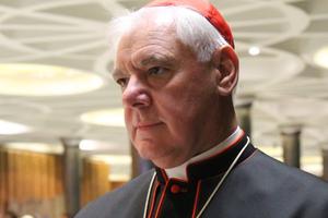 Cardinal Gerhard Muller. Cardinal Gerhard Muller.