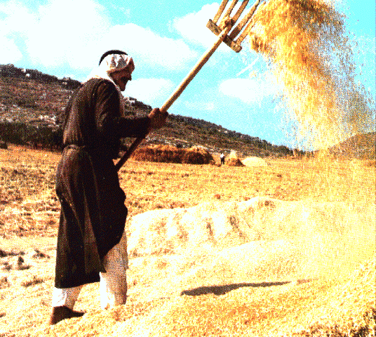 What does the Bible mean when it says Jesus' winnowing fork is in his hand? What does the Bible mean when it says Jesus' winnowing fork is in his hand?
