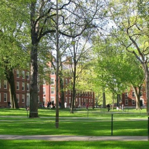 Harvard University campus Harvard University campus