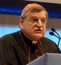 Cardinal Raymond Burke Cardinal Raymond Burke
