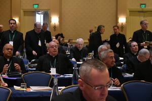 U.S. bishops meet in Baltimore earlier this month. U.S. bishops meet in Baltimore earlier this month.