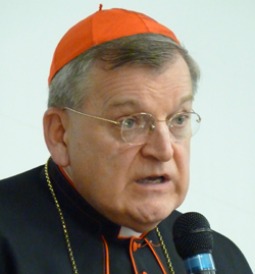 Cardinal Raymond Burke. Cardinal Raymond Burke.