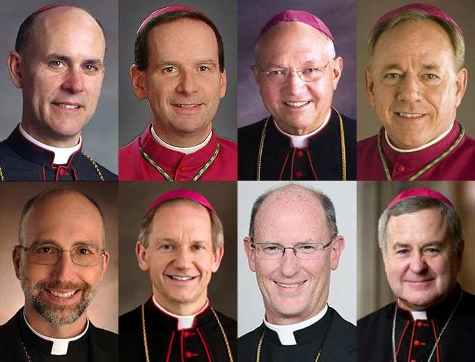 TOP (L to R): Bishop Rhoades, Bishop Burbidge, Bishop Morlino, Archbishop Miller. BOTTOM: Bishop Doerfler, Bishop Paprocki, Bishop Conley, Archbishop Carlson. TOP (L to R): Bishop Rhoades, Bishop Burbidge, Bishop Morlino, Archbishop Miller. BOTTOM: Bishop Doerfler, Bishop Paprocki, Bishop Conley, Archbishop Carlson.