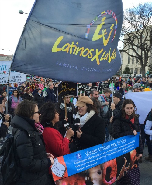 Members of Latinos por la Vida participate in the 2015 March for Life on Jan. 22 in Washington. Members of Latinos por la Vida participate in the 2015 March for Life on Jan. 22 in Washington.