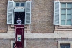 Pope Francis addresses the faithful during his Angelus address Oct. 28.