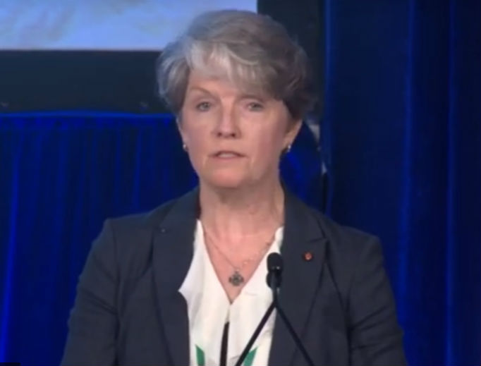Anita Raines, chair of the National Advisory Council, addresses the USCCB Spring General Assembly in Baltimore, June 11, 2019. Anita Raines, chair of the National Advisory Council, addresses the USCCB Spring General Assembly in Baltimore, June 11, 2019.