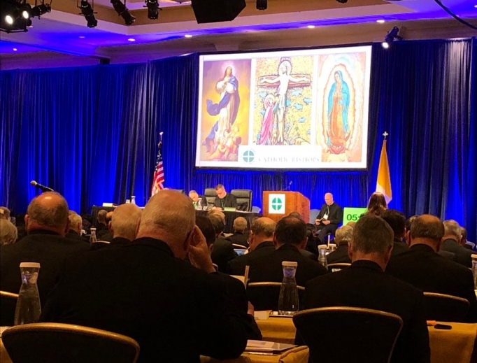 The USCCB autumn general assembly in Baltimore, Md. The USCCB autumn general assembly in Baltimore, Md.