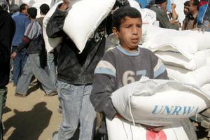 A Palestinian boy helps to unload food aid from the United Nations Relief and Works Agency (UNRWA) in al-Shati refugee camp in Gaza City, Gaza Strip.
A Palestinian boy helps to unload food aid from the United Nations Relief and Works Agency (UNRWA) in al-Shati refugee camp in Gaza City, Gaza Strip.