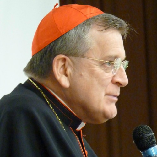 Cardinal Raymond Burke, prefect of the Supreme Tribunal of the Apostolic Signatura Cardinal Raymond Burke, prefect of the Supreme Tribunal of the Apostolic Signatura