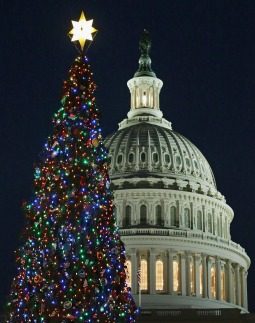 The 2013 U.S. Capitol Christmas tree was lit on the West Front Dec. 3 in Washington. The 88-foot Engelmann spruce, from the Colville National Forest in Washington state, is decorated with approximately 5,000 ornaments.
The 2013 U.S. Capitol Christmas tree was lit on the West Front Dec. 3 in Washington. The 88-foot Engelmann spruce, from the Colville National Forest in Washington state, is decorated with approximately 5,000 ornaments.