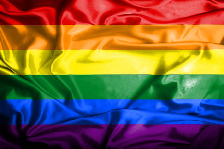 The Anarchist Flag for Those Suffering from Same-Sex Attraction The Anarchist Flag for Those Suffering from Same-Sex Attraction