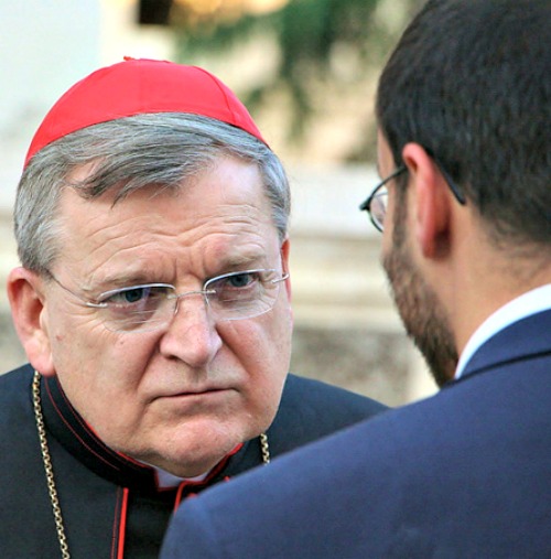 Cardinal Raymond Burke Cardinal Raymond Burke