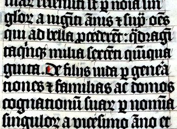 Section of the Bible in Latin. Section of the Bible in Latin.