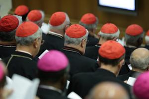 Inside the synod hall during the meeting of bishops and cardinals on Oct. 14, 2015. Inside the synod hall during the meeting of bishops and cardinals on Oct. 14, 2015.