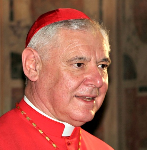 Cardinal Gerhard Müller, the prefect of the Congregation for the Doctrine of the Faith Cardinal Gerhard Müller, the prefect of the Congregation for the Doctrine of the Faith