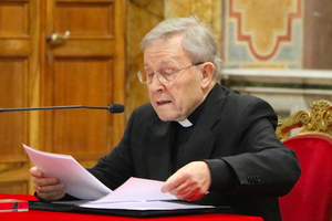 Cardinal Walter Kasper giving a talk in Rome in February. Cardinal Walter Kasper giving a talk in Rome in February.