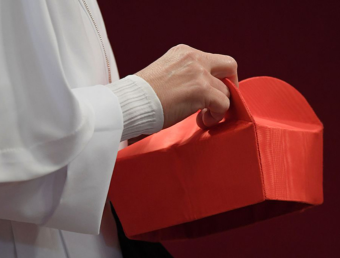 An assistant holds a new cardinal’s red biretta on Nov. 19, 2016, during a consistory at Peter's basilica.
An assistant holds a new cardinal’s red biretta on Nov. 19, 2016, during a consistory at Peter's basilica.