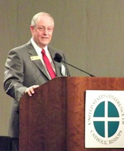 Al Notzon III, chairman of the USCCB's National Review Board Al Notzon III, chairman of the USCCB's National Review Board