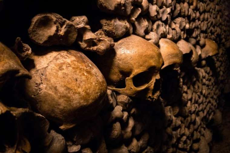 Catacombs of Paris contain the remains of the deceased. Catacombs of Paris contain the remains of the deceased.