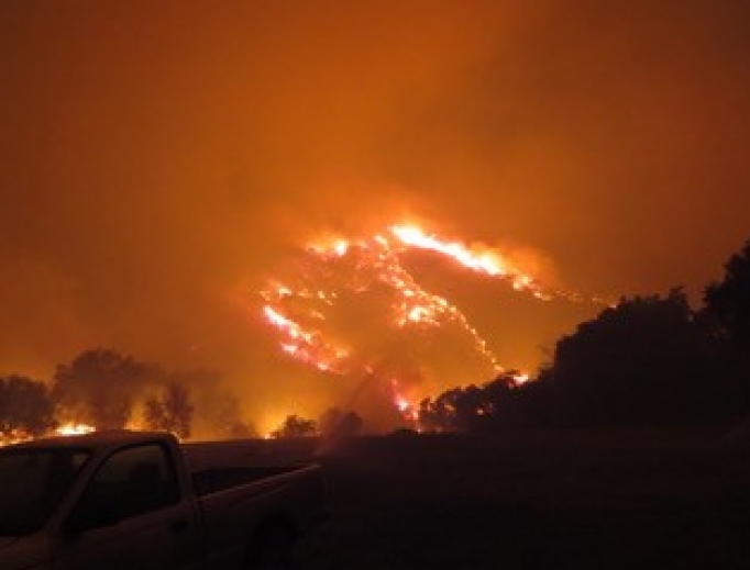 Above, the fire rages later in the evening of Dec. 4. Also below: Looking from the back (north side) of the upper campus of Thomas Aquinas College towards the lower campus, the fire still blazes Dec. 5 (with pine tree shown). Facilities personnel stomp out hot spots, as students evacuate by car as the fire continues.
Above, the fire rages later in the evening of Dec. 4. Also below: Looking from the back (north side) of the upper campus of Thomas Aquinas College towards the lower campus, the fire still blazes Dec. 5 (with pine tree shown). Facilities personnel stomp out hot spots, as students evacuate by car as the fire continues.
