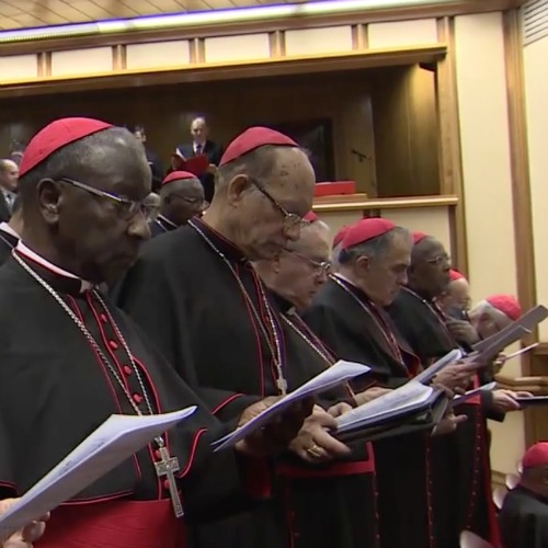 Cardinals participate Feb. 12 in the opening day of this month's consistory at the Vatican. Cardinals participate Feb. 12 in the opening day of this month's consistory at the Vatican.