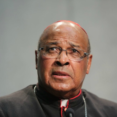 Cardinal Wilfrid Napier of South Africa speaks at a briefing on the Synod of Bishops on Oct. 20 in the Holy See Press Office. Cardinal Wilfrid Napier of South Africa speaks at a briefing on the Synod of Bishops on Oct. 20 in the Holy See Press Office.