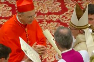 November 2016 consistory making the apostolic nuncio to Syria a cardinal. Cardinal Mario Zenari is shown with Pope Francis. November 2016 consistory making the apostolic nuncio to Syria a cardinal. Cardinal Mario Zenari is shown with Pope Francis.