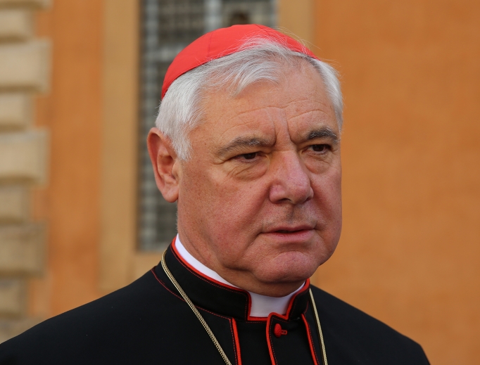 Cardinal Gerhard Müller outside the Vatican's Synod Hall after a session of the Synod on the Family on Oct. 13, 2014. Cardinal Gerhard Müller outside the Vatican's Synod Hall after a session of the Synod on the Family on Oct. 13, 2014.