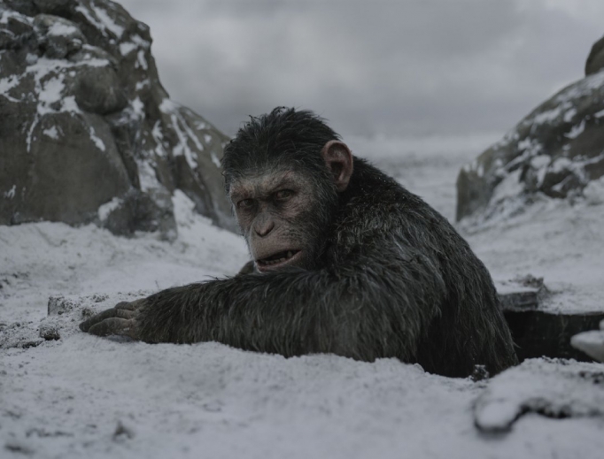 Andy Serkis is back as super-ape Caesar. Andy Serkis is back as super-ape Caesar.