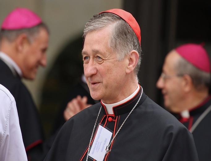 Cardinal Blaise Cupich of Chicago. Cardinal Blaise Cupich of Chicago.