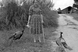 Flannery O'Connor courtesy of the Atlanta History Center.
Flannery O'Connor courtesy of the Atlanta History Center.