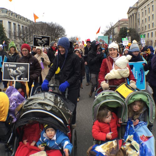 Pro-life groups gather for the March for Life in Washington on the 43rd anniversary of Roe v. Wade, Jan. 22.
Pro-life groups gather for the March for Life in Washington on the 43rd anniversary of Roe v. Wade, Jan. 22.