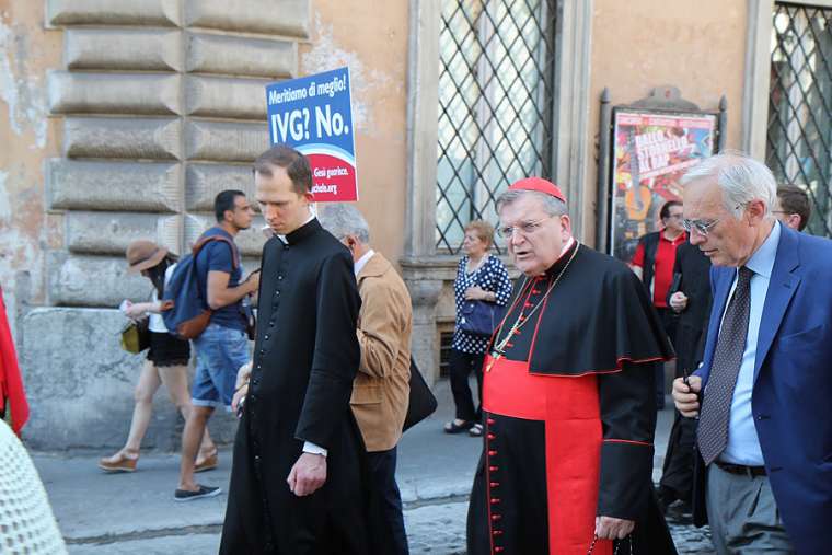 Cardinal Raymond Burke, prefect emeritus of the Apostolic Signatura, at the March for Life in Rome, May 10, 2015. Cardinal Raymond Burke, prefect emeritus of the Apostolic Signatura, at the March for Life in Rome, May 10, 2015.