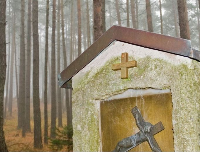 The St. Kateri Conservation Center is committed to caring for creation. The St. Kateri Conservation Center is committed to caring for creation.