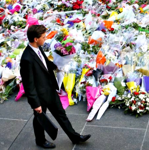A man places flowers as a mark of respect for the victims of the Martin Place siege on Dec. 16 in Sydney.
A man places flowers as a mark of respect for the victims of the Martin Place siege on Dec. 16 in Sydney.
