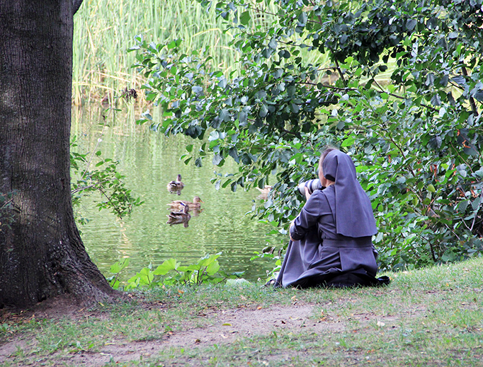 It’s impossible to be bitter while you're taking pictures of ducks. It’s impossible to be bitter while you're taking pictures of ducks.